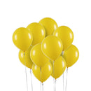 Art Latex Balão Redondo 16" Pacote com 12 Unidades