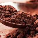 Selecta Namur Chocolate em Pó 70% Cacau 500g